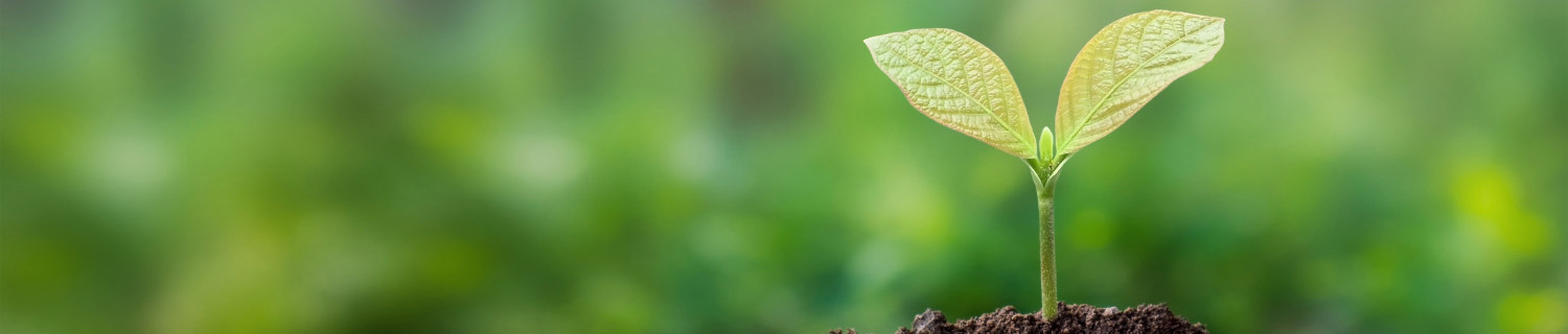 Cuidado Ambiental